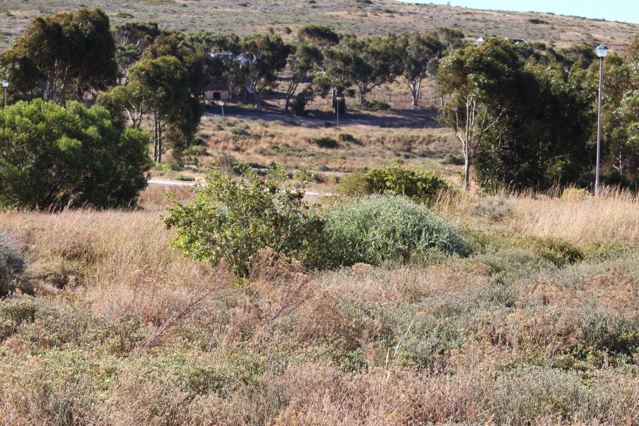 0 Bedroom Property for Sale in St Helena Views Western Cape